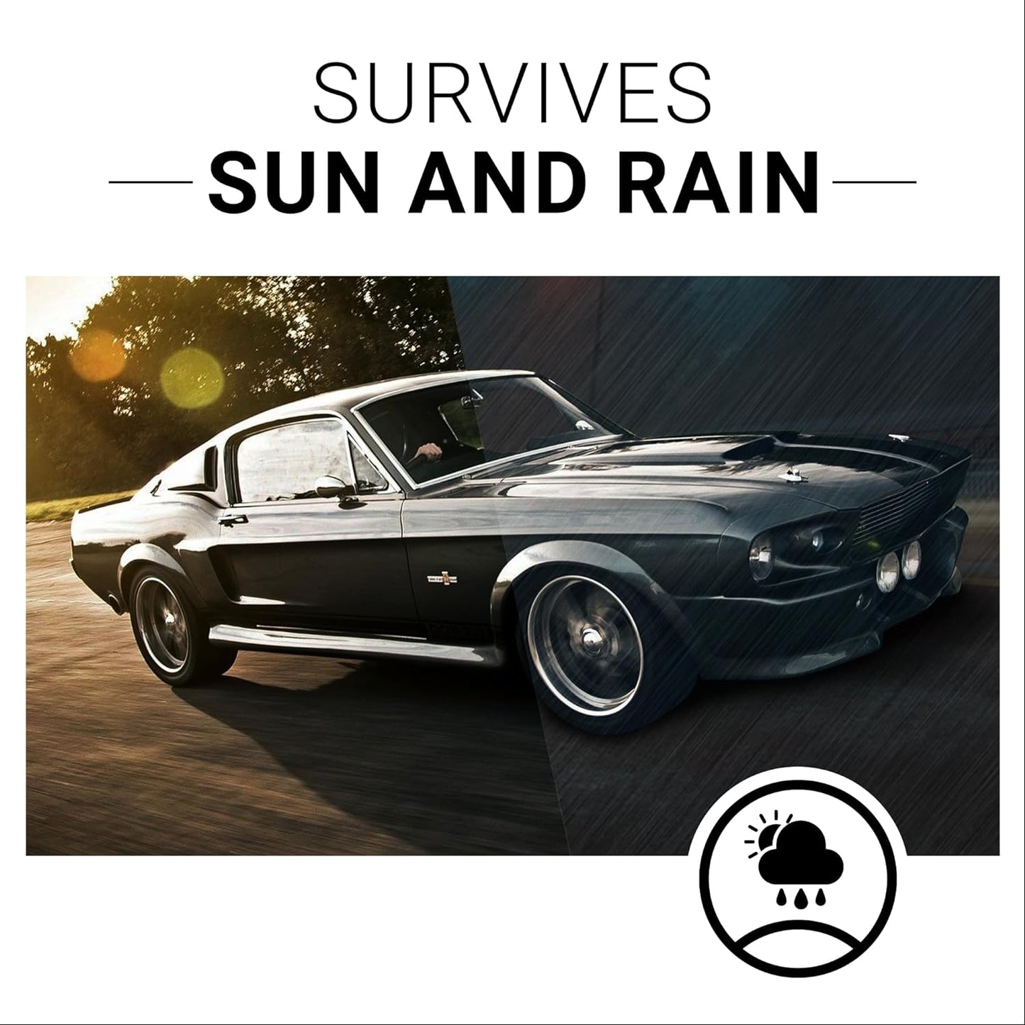 Plastic Restorer Kit – Shine & Protect Trim and Bumpers (8 Oz Foam Applicator)