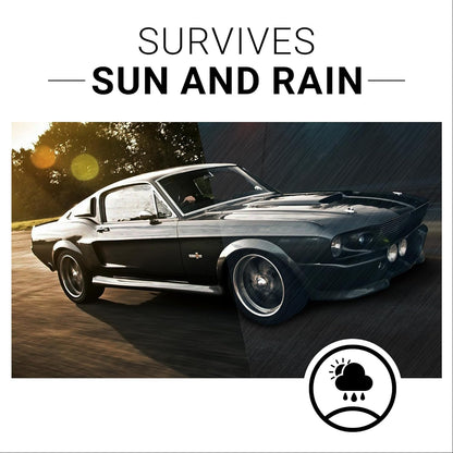 Plastic Restorer Kit – Shine & Protect Trim and Bumpers (8 Oz Foam Applicator)