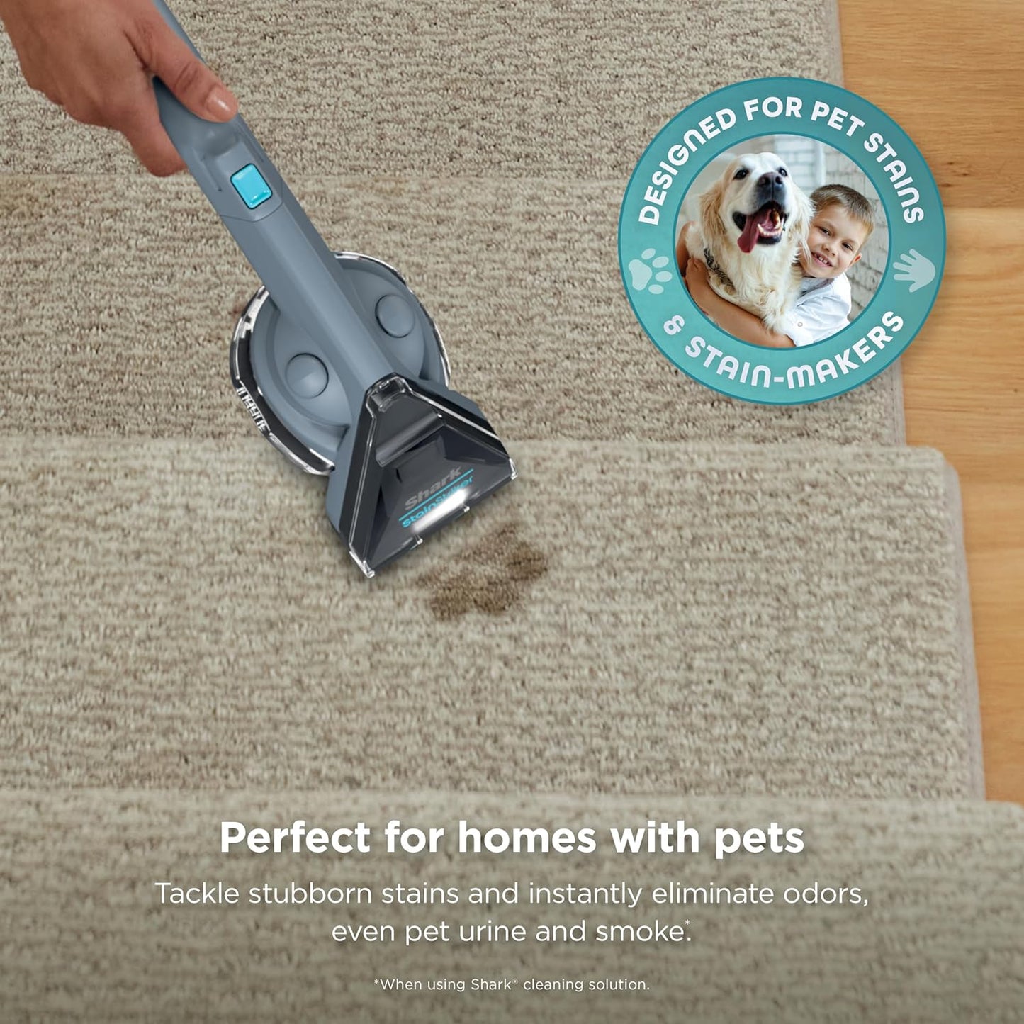 Stainstriker Portable Carpet & Upholstery Cleaner – Full Car Interior Kit